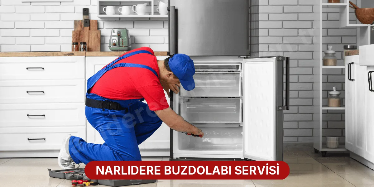 Narlıdere Buzdolabı Servisi