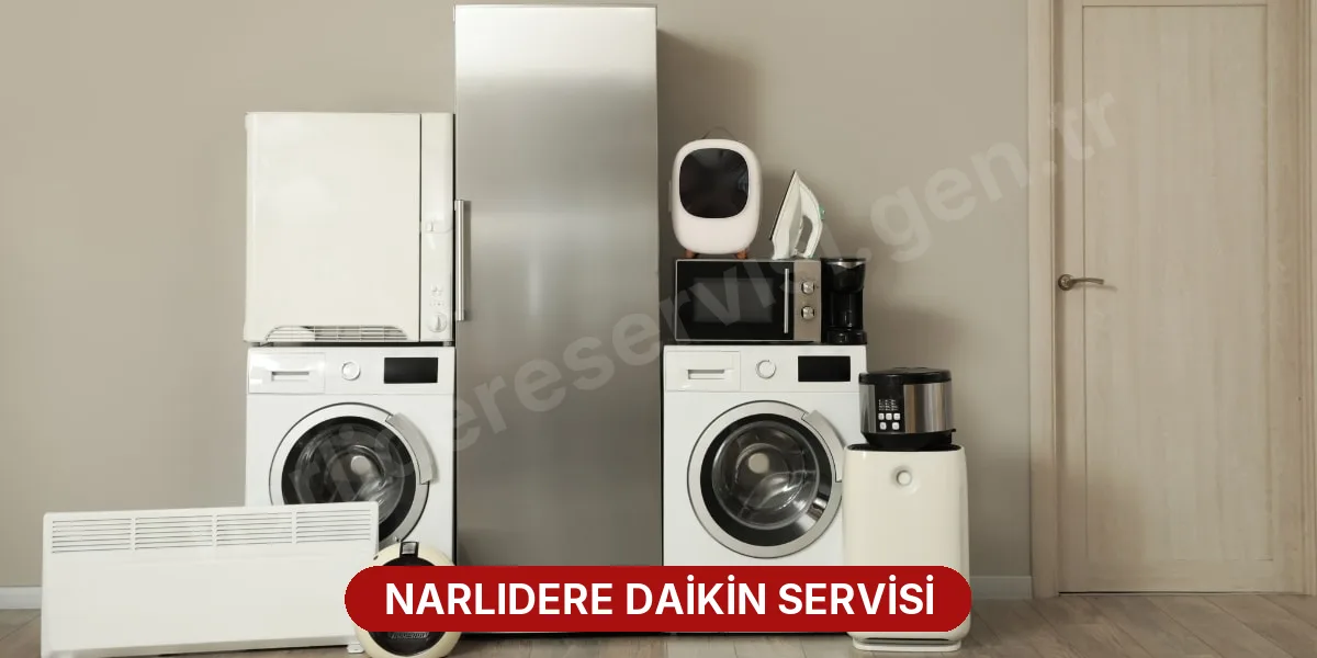 Narlıdere Daikin Servisi