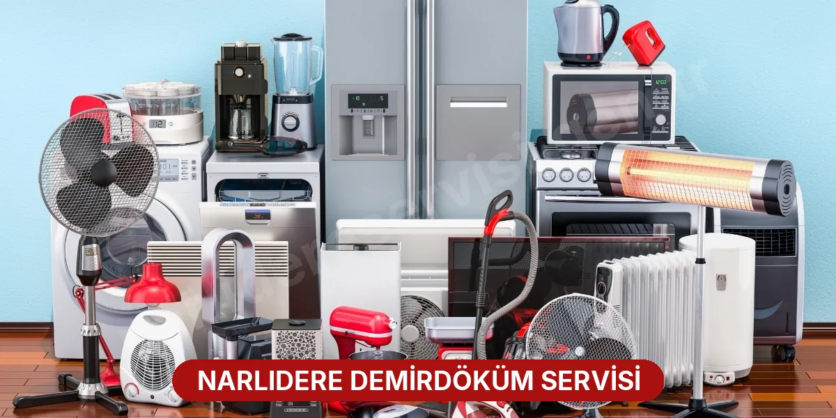 Narlıdere Demirdöküm Servisi