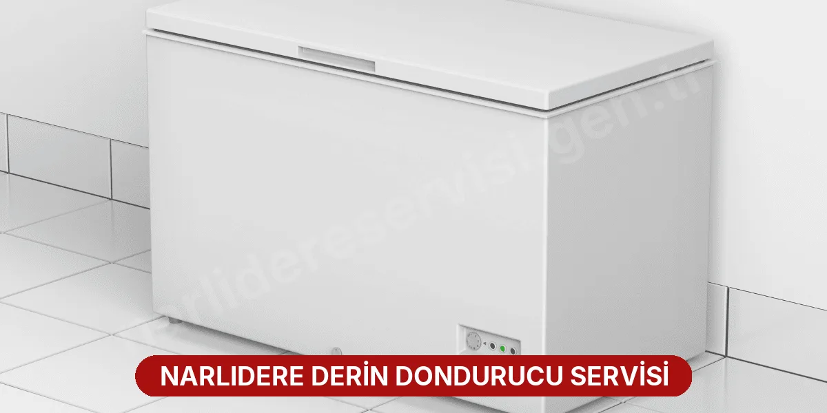 Narlıdere Derin Dondurucu Servisi