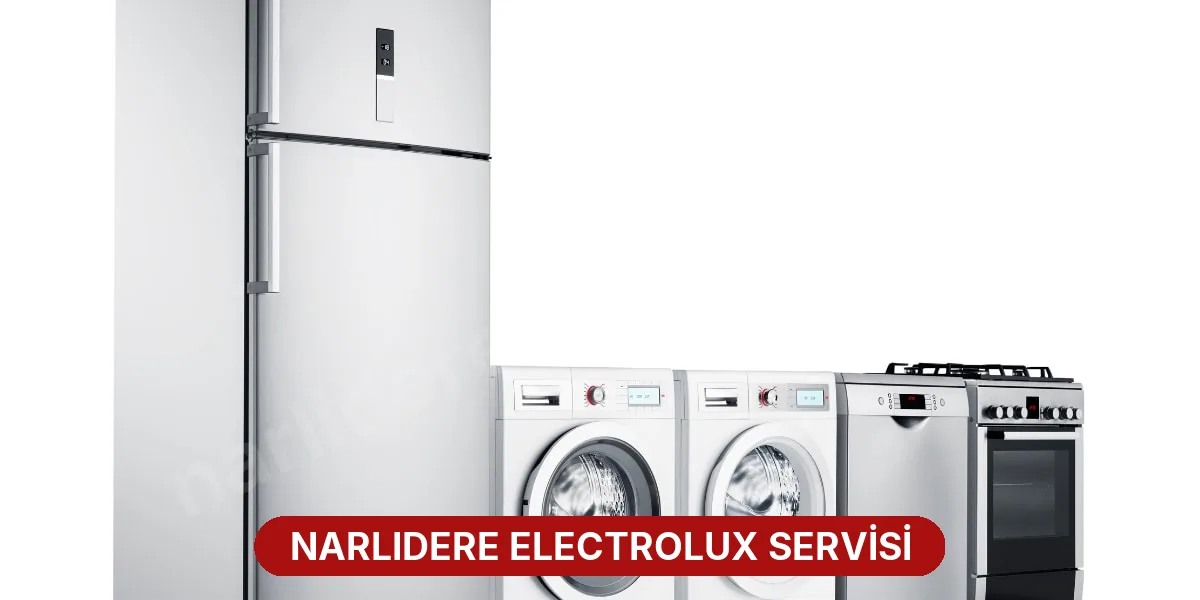 Narlıdere Electrolux Servisi