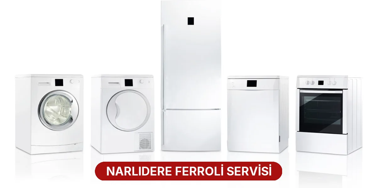 Narlıdere Ferroli Servisi