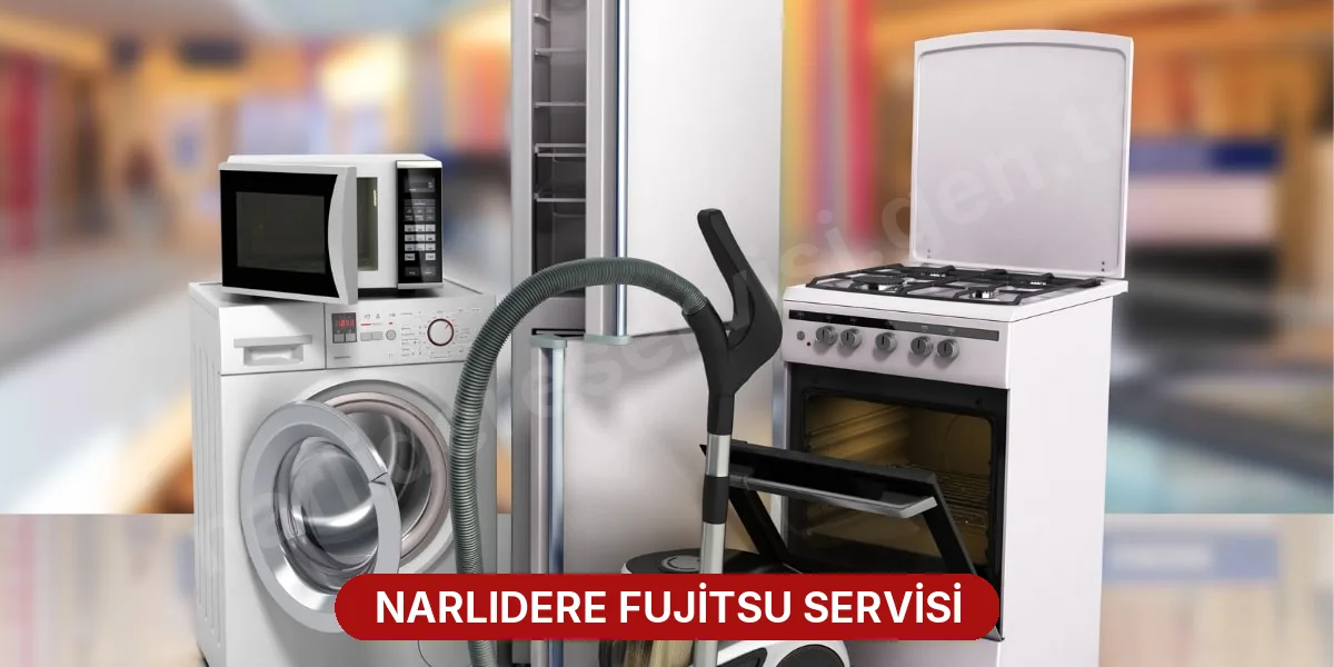 Narlıdere Fujitsu Servisi