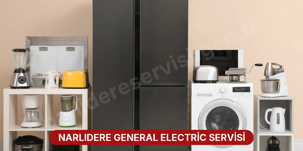 Narlıdere General Electric Servisi