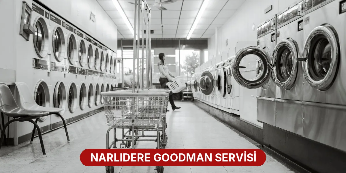 Narlıdere Goodman Servisi