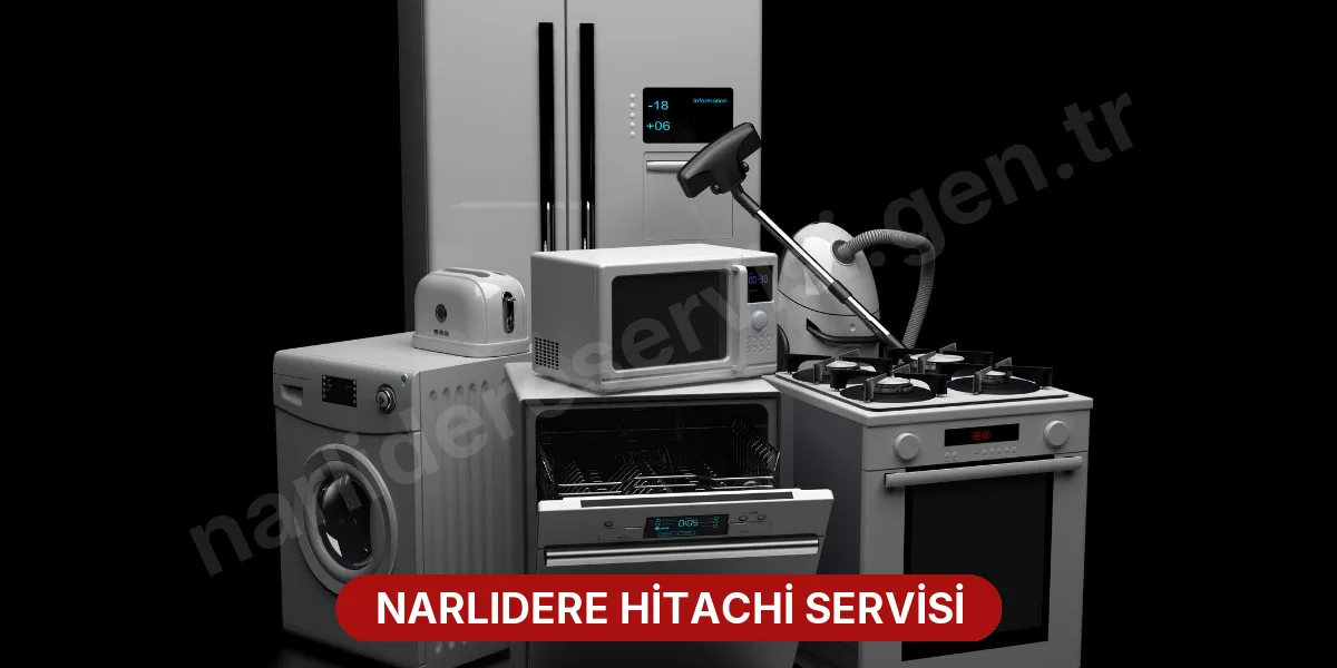 Narlıdere Hitachi Servisi