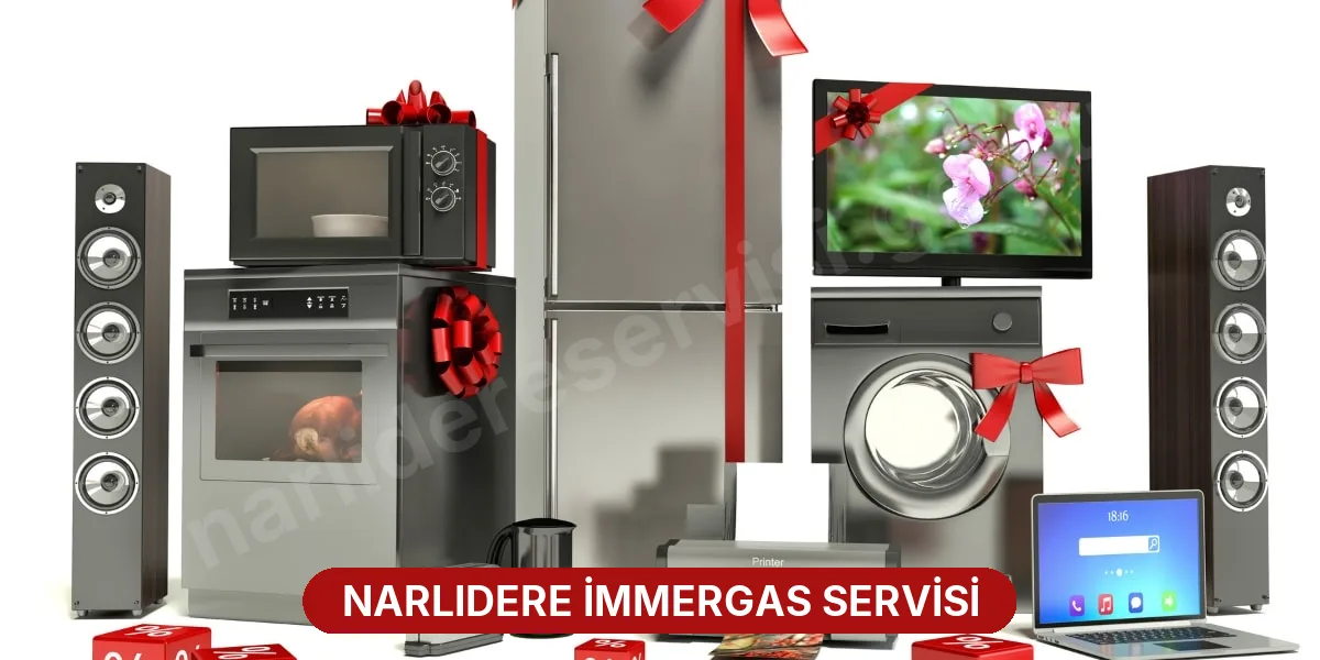 Narlıdere İmmergas Servisi