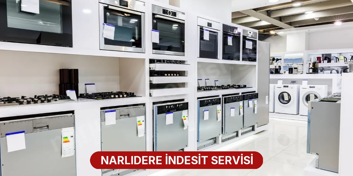 Narlıdere İndesit Servisi