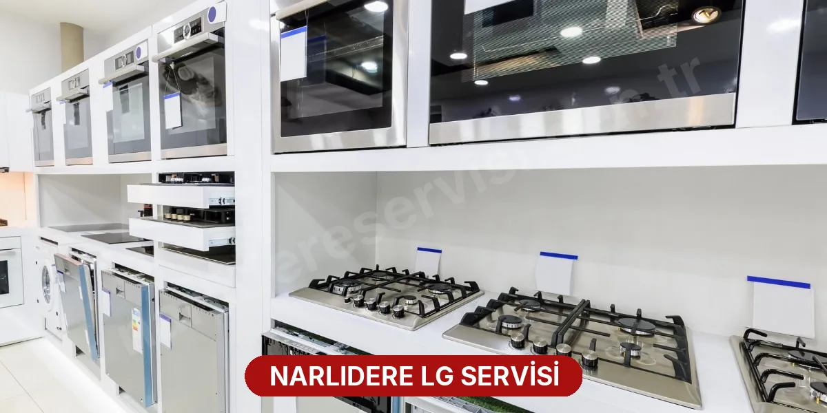 Narlıdere LG Servisi
