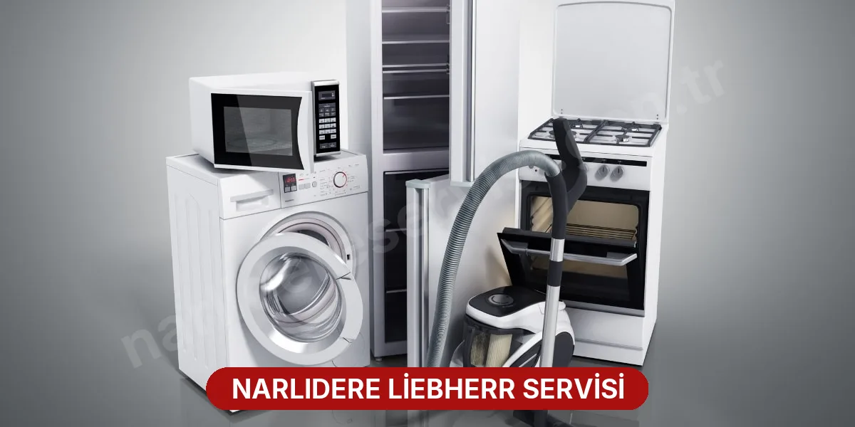 Narlıdere Liebherr Servisi