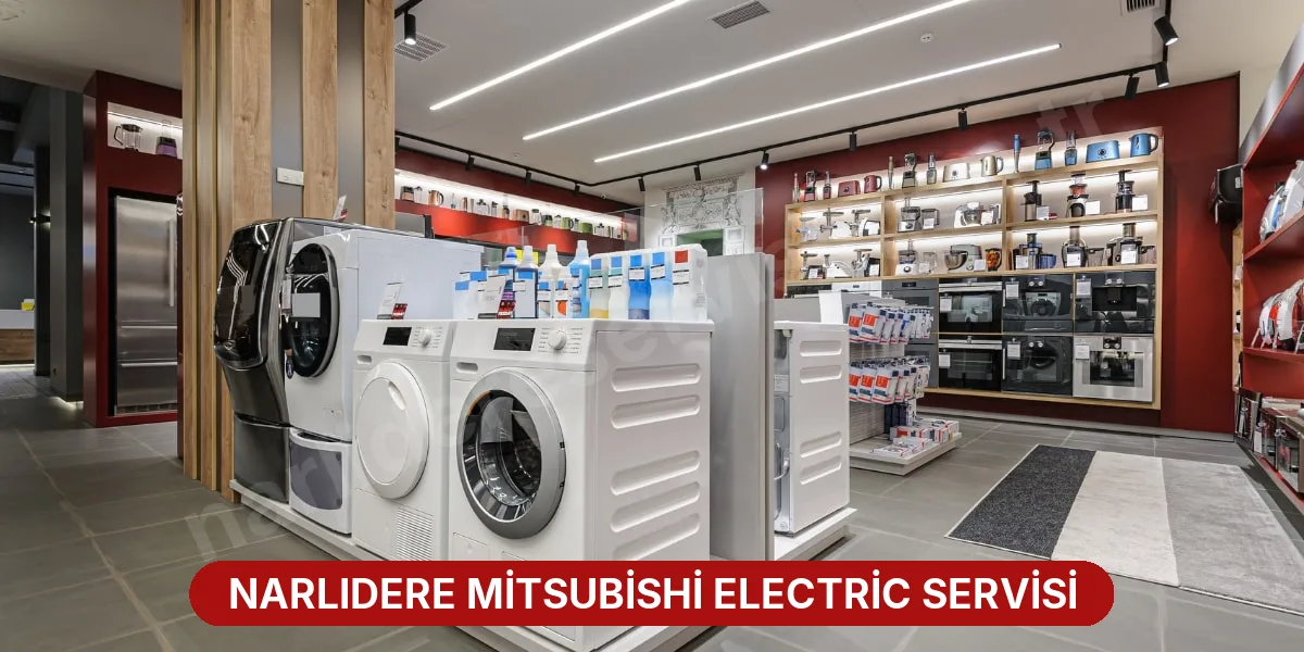 Narlıdere Mitsubishi Electric Servisi