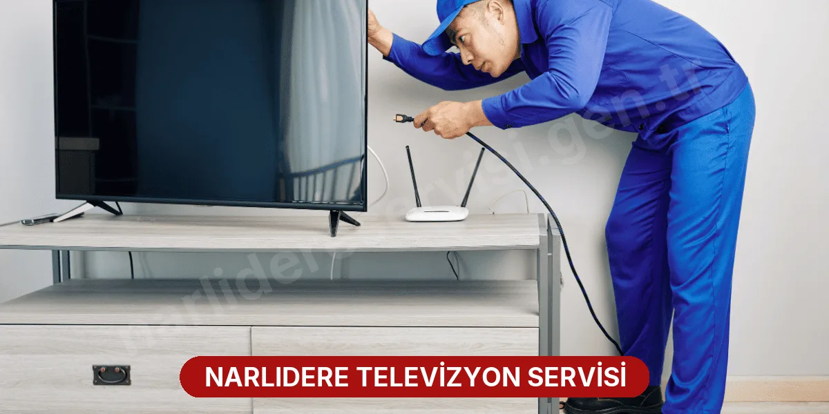 Narlıdere Televizyon Servisi