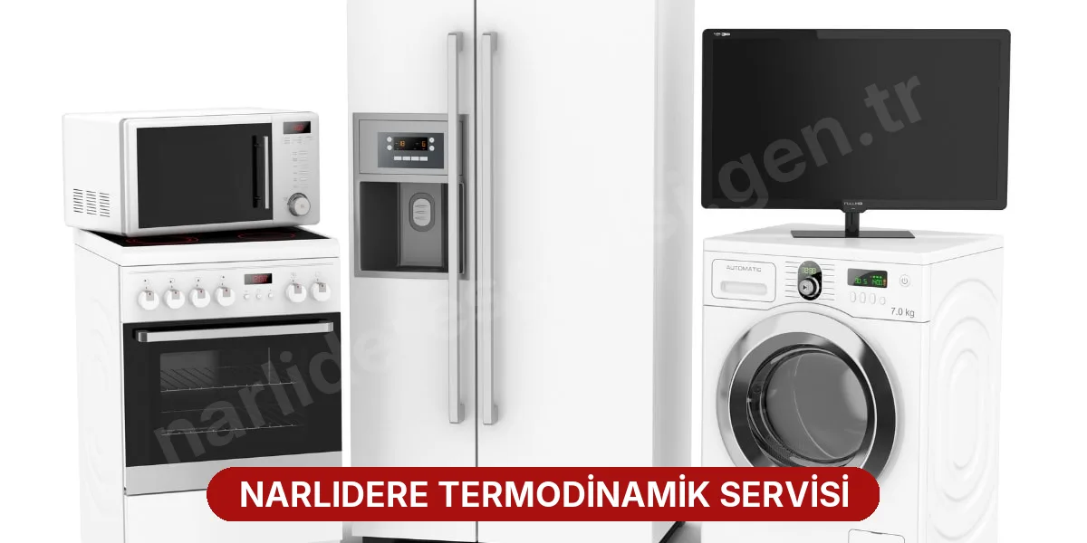 Narlıdere Termodinamik Servisi