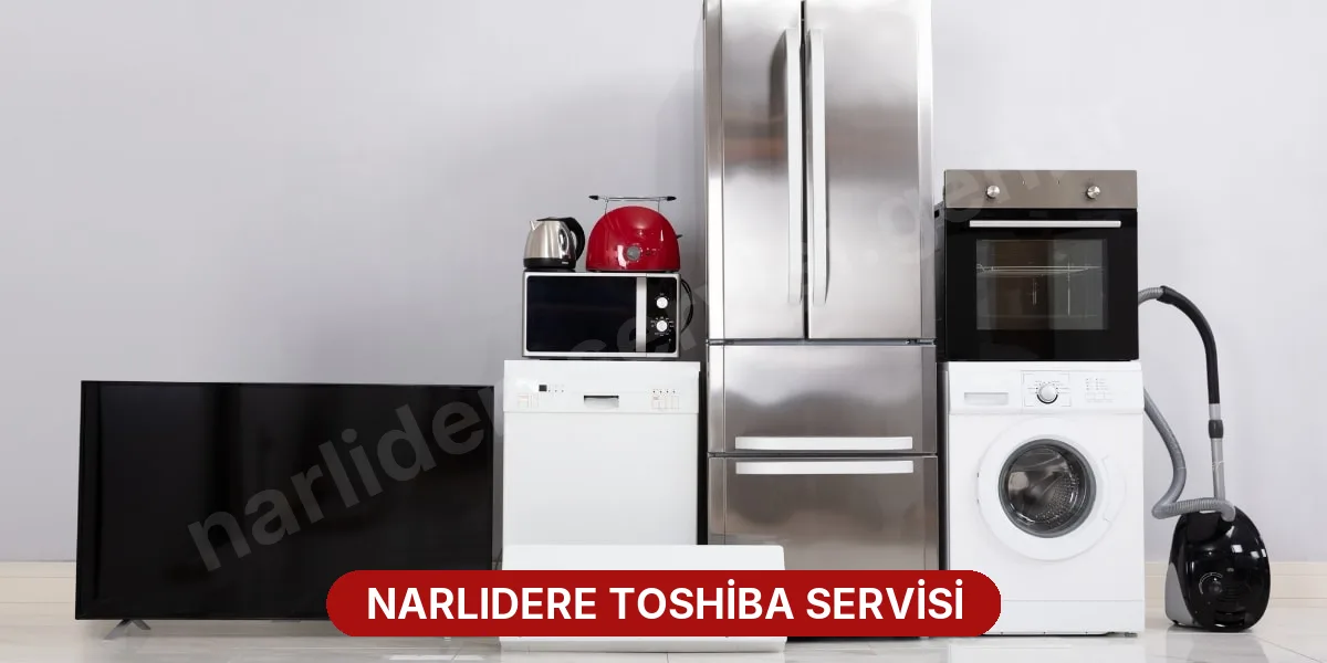 Narlıdere Toshiba Servisi
