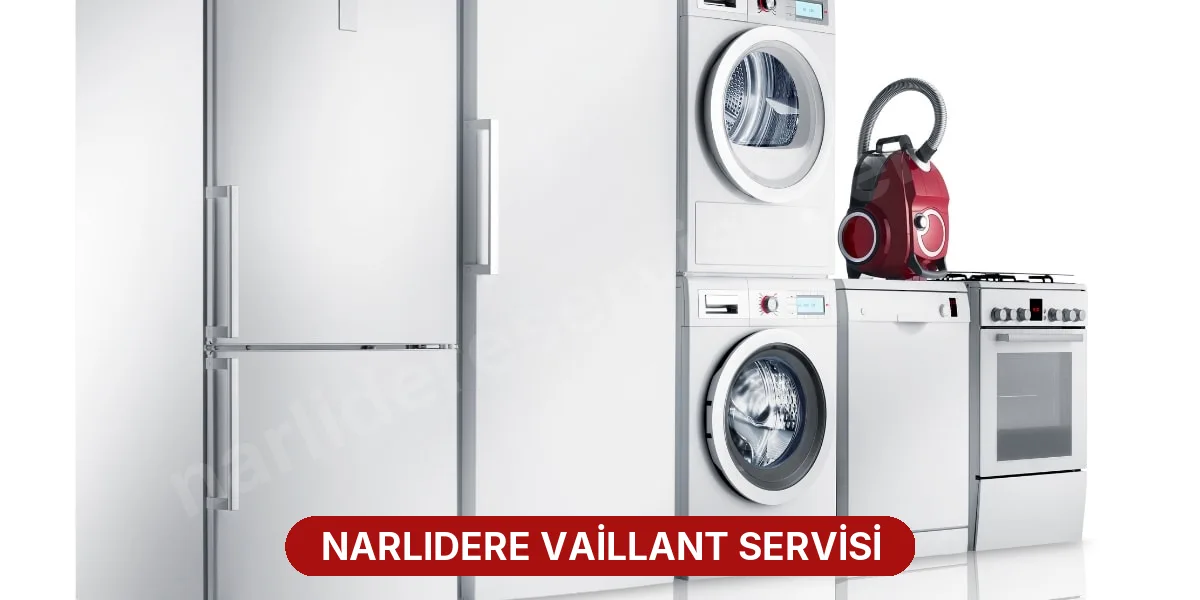Narlıdere Vaillant Servisi