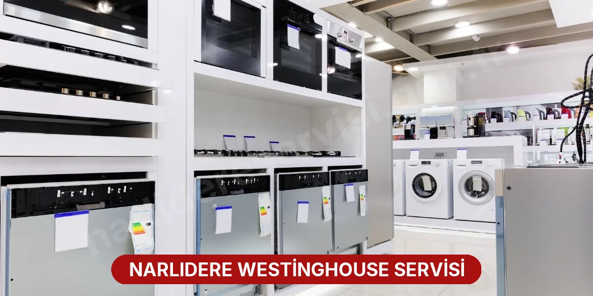 Narlıdere Westinghouse Servisi