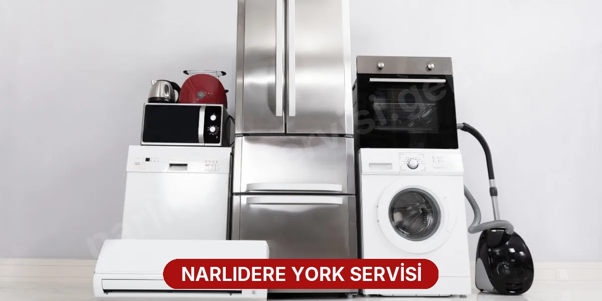 Narlıdere York Servisi